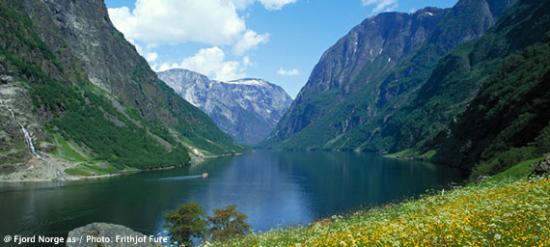 topp-magic-sognefjord-1.jpg